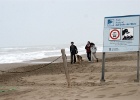 Delta de l'Ebre   R.Eveleens